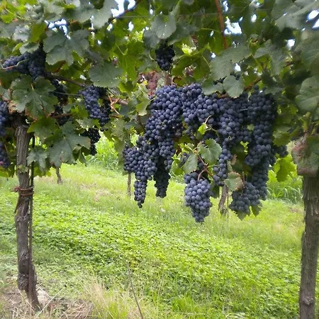 Farm stay Mazzeracca