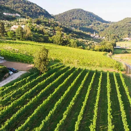 Farm stay Mazzeracca *