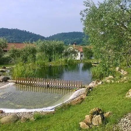 Mazzeracca Bassano del Grappa